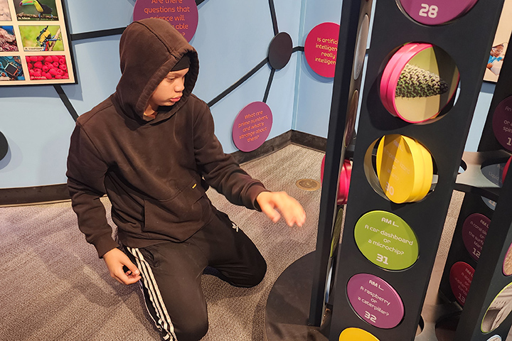 A boy looks at a colorful display