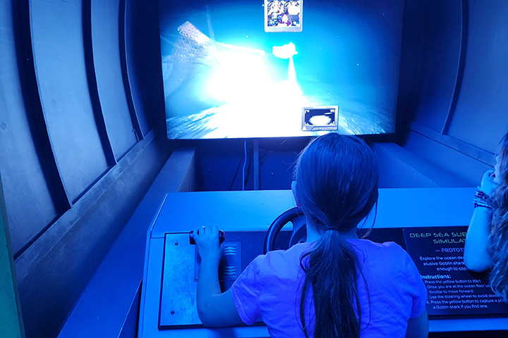 A girl looks at a screen in a blue room